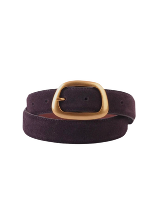 Chocolate Suede Belt with Asymmetrical Gold Buckle