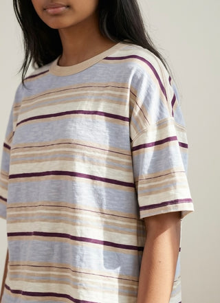 Desert Sky Striped Cropped Tee