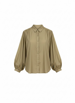 Olive Grove Cotton Button Down