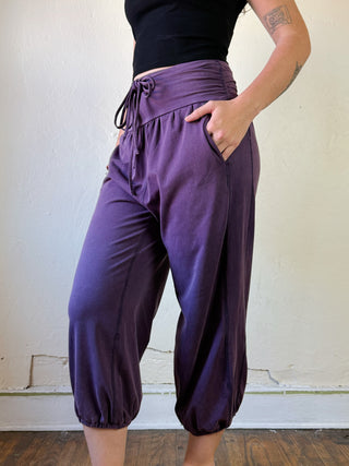 The Wide Waistband Jogger Pants