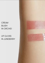 Load image into Gallery viewer, Lip &amp; Cheek Best Sellers Kit
