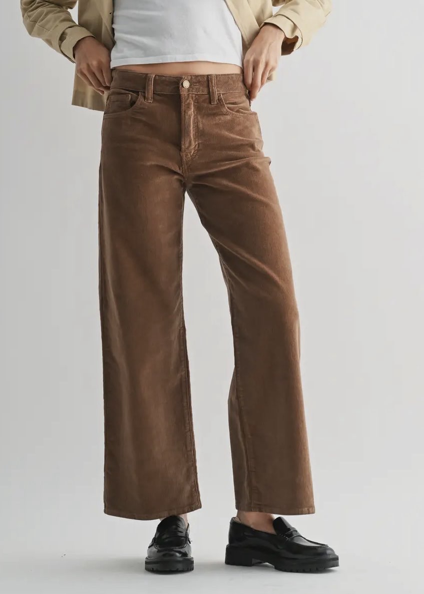 Person wearing brown wide-leg pants on a plain background