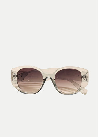 Round Square Acetate Frame Sunglasses with white background 