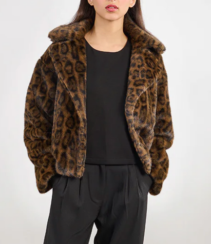 Person wearing a leopard print jacket and black pants on a white background